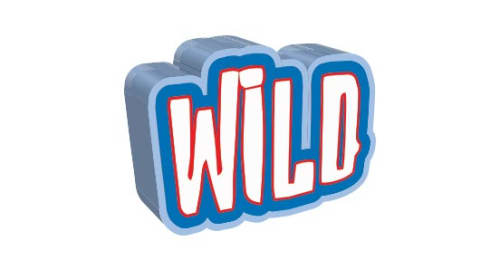 Slot Game Wild Symbol